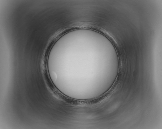 X0000113180682200909040954