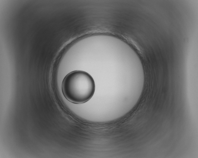 X0000113180684200909040954
