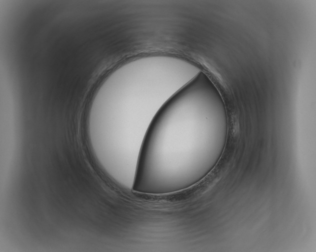 X0000113180685200909040954