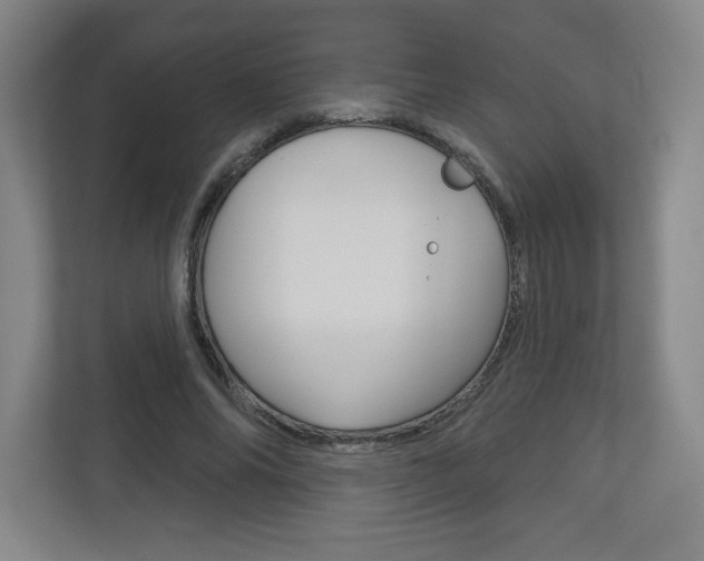 X0000113180686200909040954