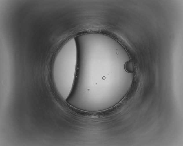 X0000113180687200909040954