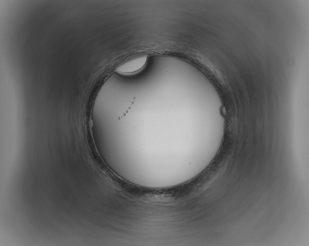 X0000113180689200909040954