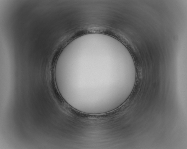 X0000113180690200909040954