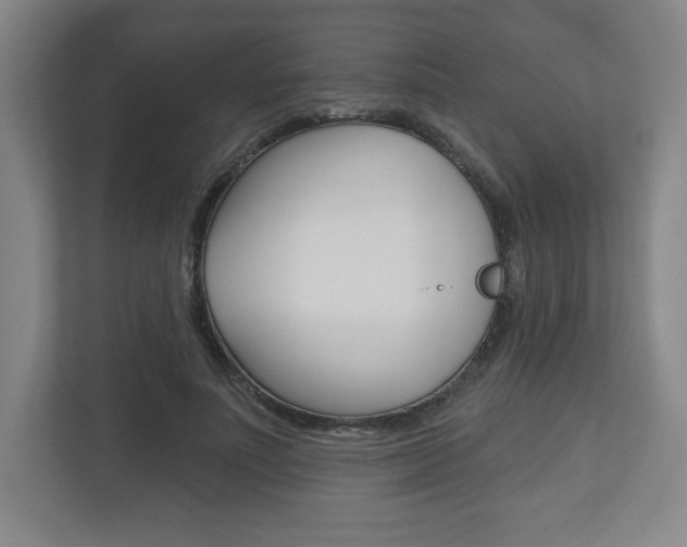X0000113180691200909040954