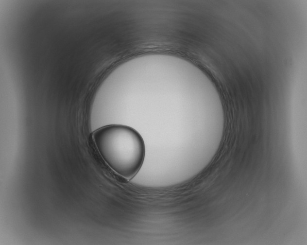 X0000113180692200909040954