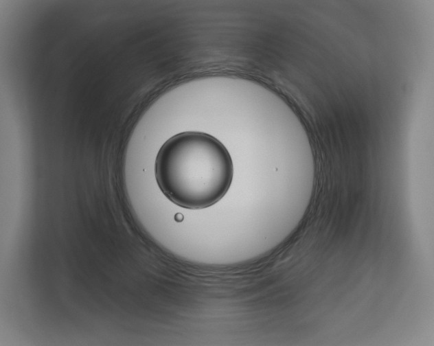 X0000113180693200909040954