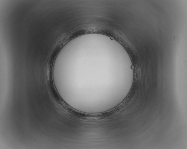 X0000113180694200909040954