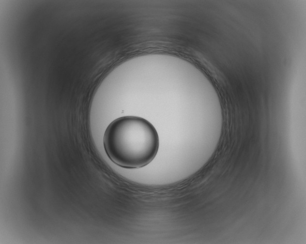 X0000113180696200909040954