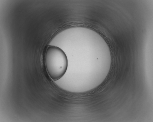 X0000113180700200909040954