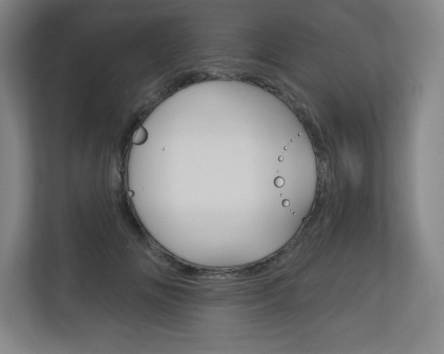 X0000113180702200909040954