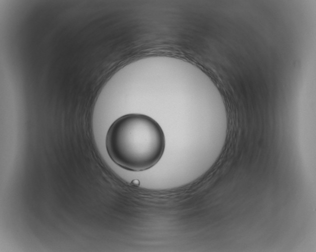 X0000113180708200909040954