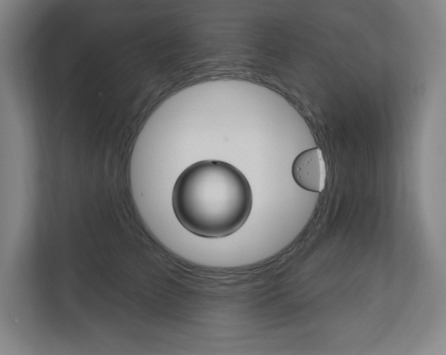 X0000113180709200909040954