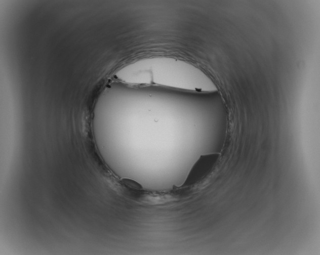 X0000113180712200909040954