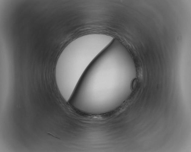 X0000113180715200909040954
