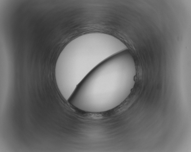 X0000113180719200909040954
