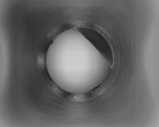 X0000113180720200909040954