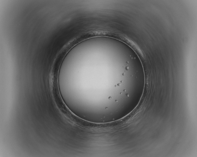 X0000113180722200909040953