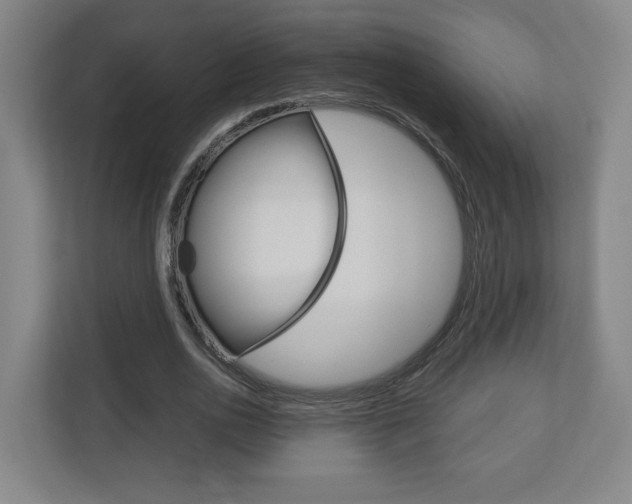 X0000113180726200909040953