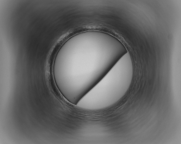 X0000113180727200909040953