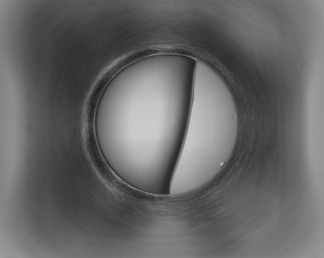 X0000113180728200909040953