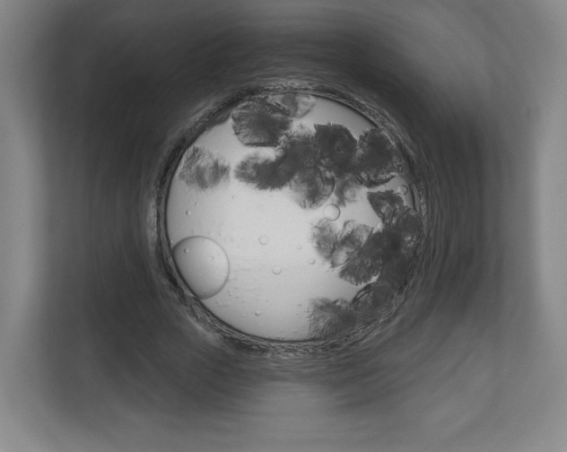 X0000113180729200909040953