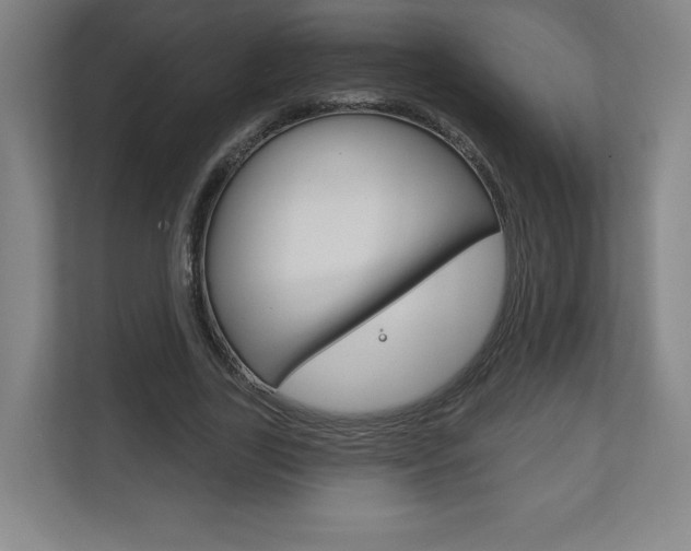 X0000113180731200909040953