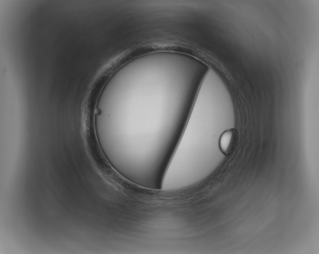 X0000113180732200909040953