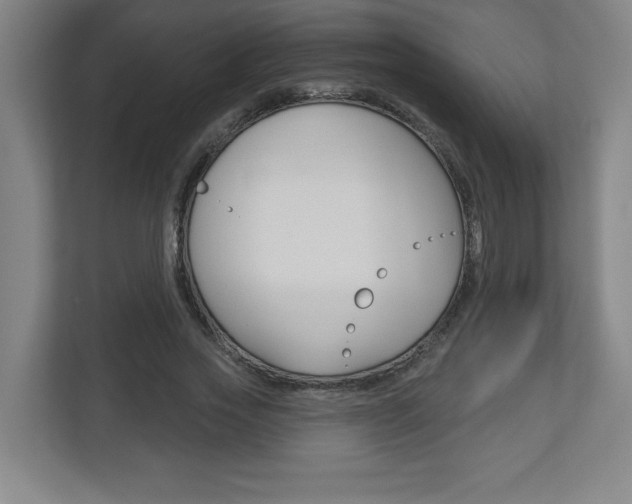 X0000113180733200909040953