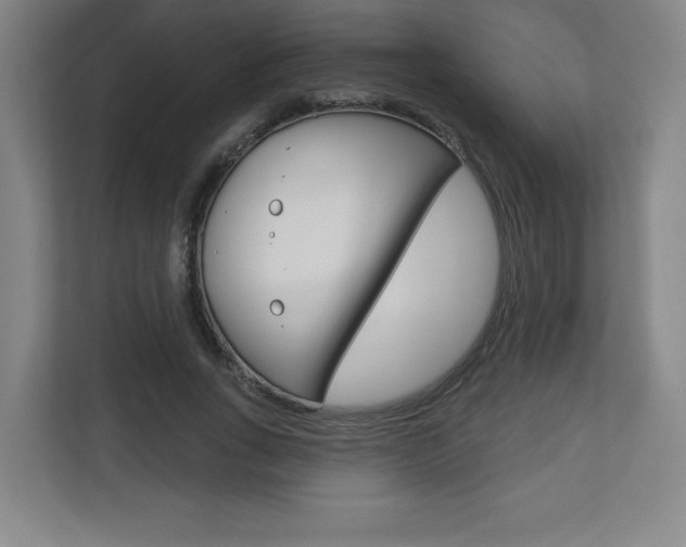X0000113180735200909040953