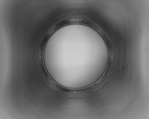 X0000113180737200909040953