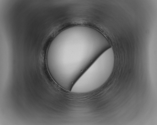 X0000113180739200909040954