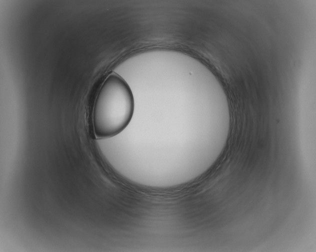 X0000113180740200909040954