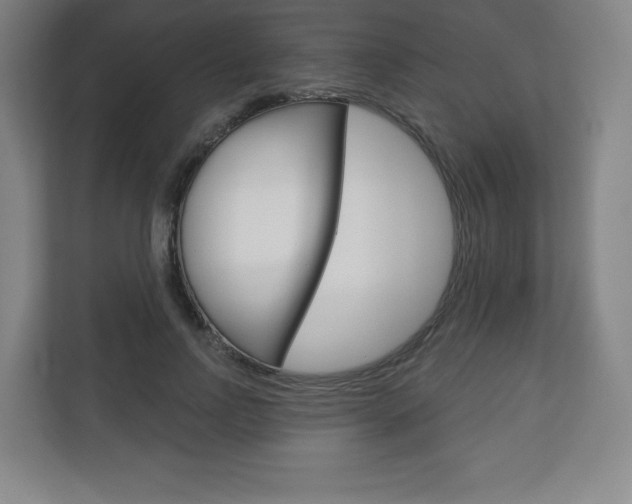 X0000113180742200909040954