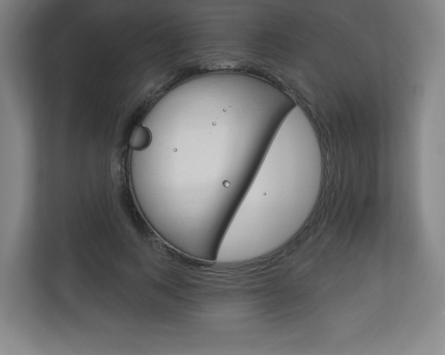 X0000113180743200909040954