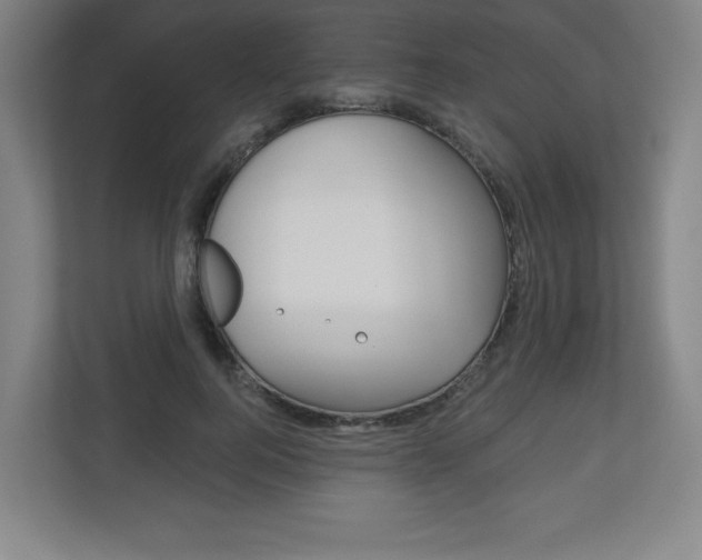X0000113180744200909040954