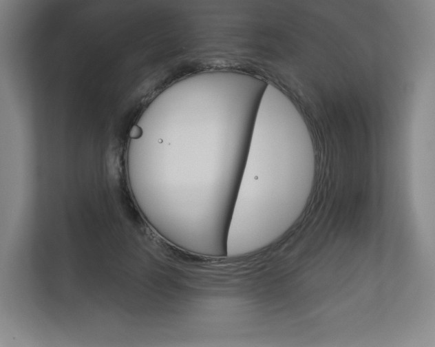 X0000113180746200909040954
