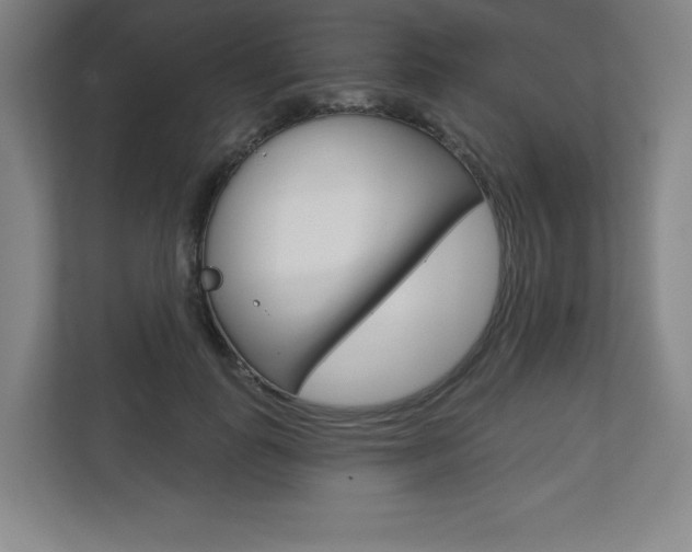 X0000113180747200909040954
