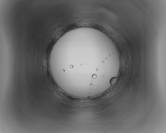 X0000113180749200909040954