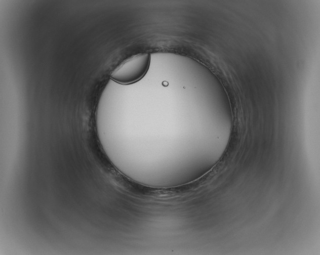 X0000113180750200909040954