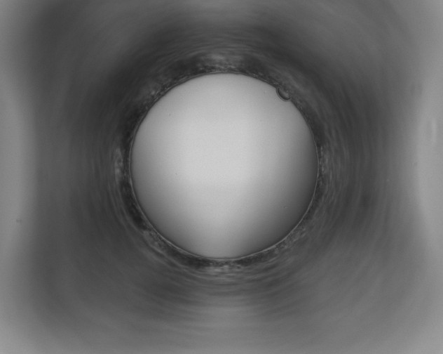 X0000113180752200909040954