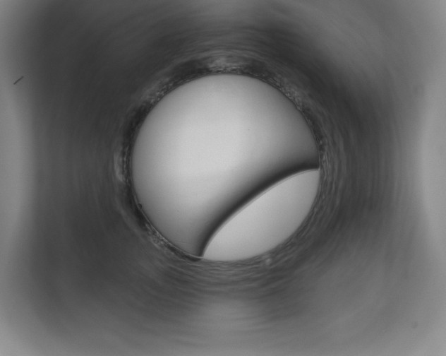 X0000113180755200909040954
