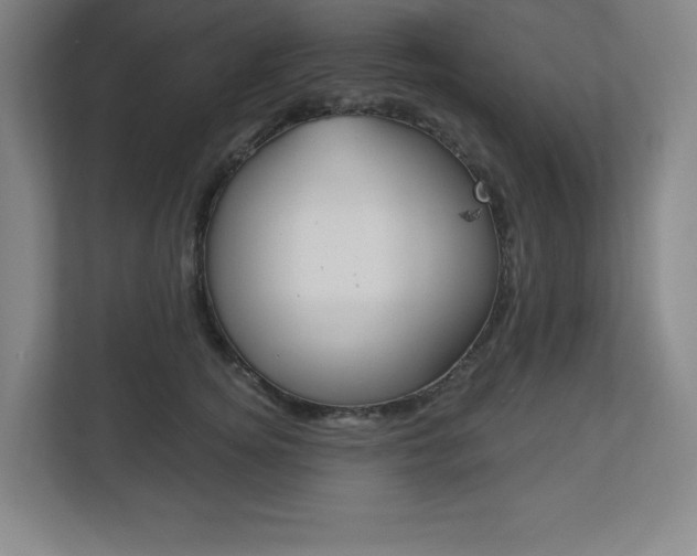 X0000113180756200909040954
