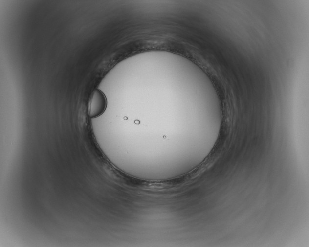 X0000113180758200909040954