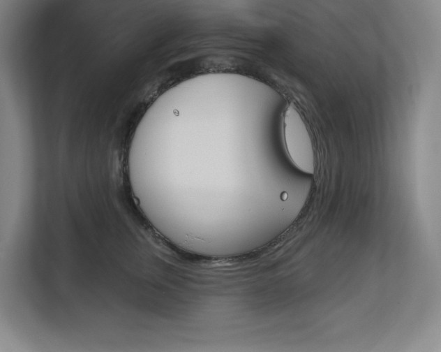 X0000113180759200909040954