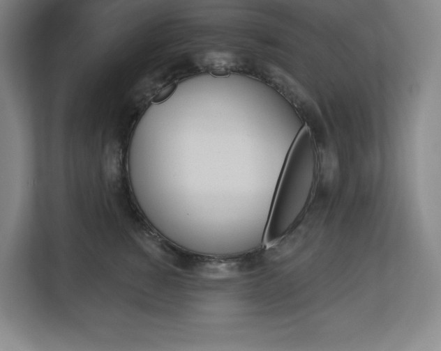 X0000113180760200909040954