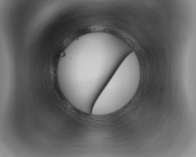 X0000113180761200909040954