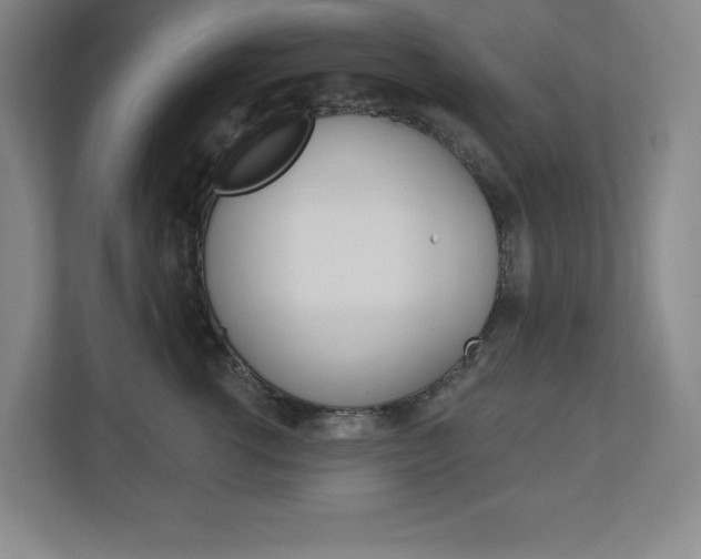 X0000113180762200909040954