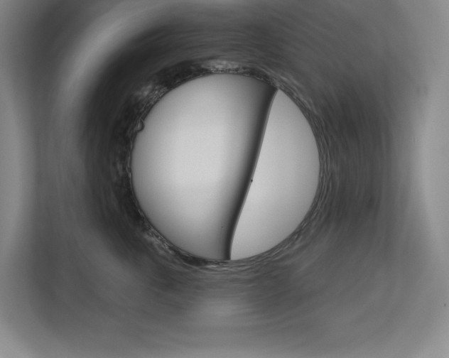 X0000113180763200909040954