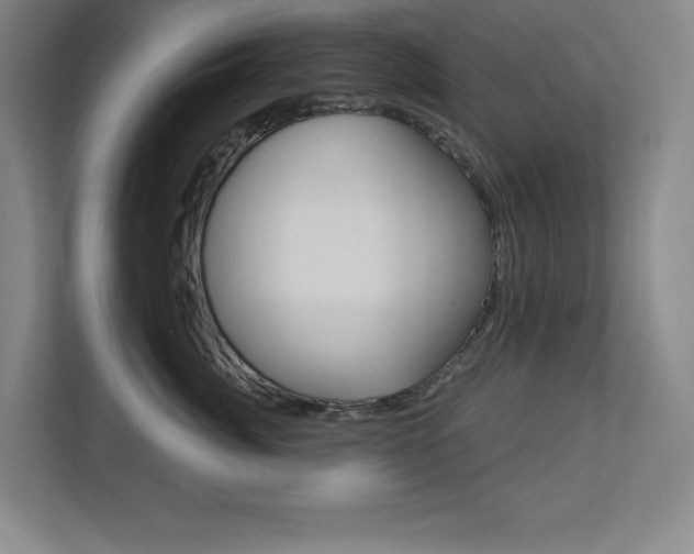 X0000113180764200909040954