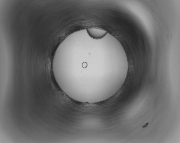 X0000113180767200909040954